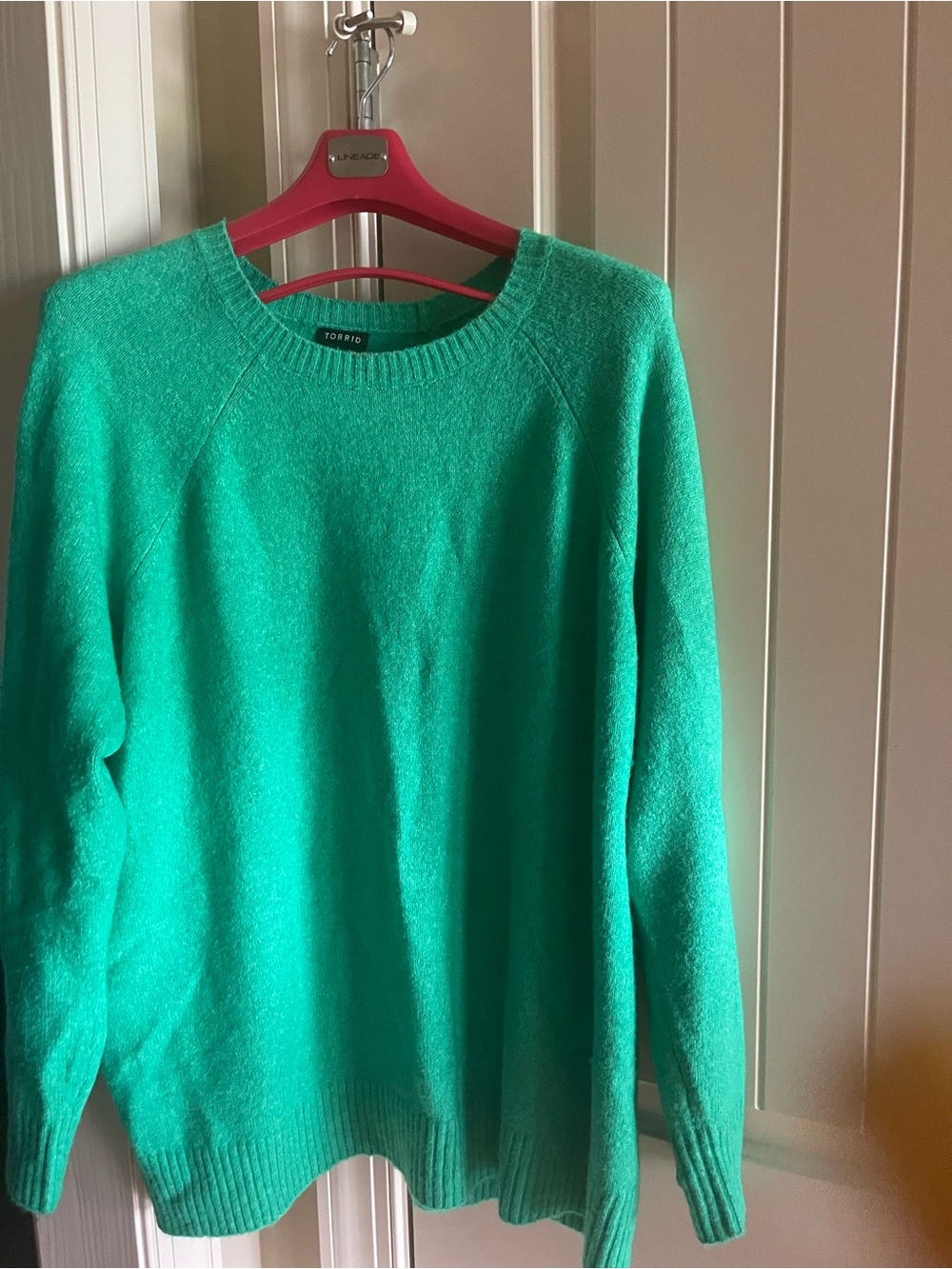 torrid Teal Crewneck Sweater